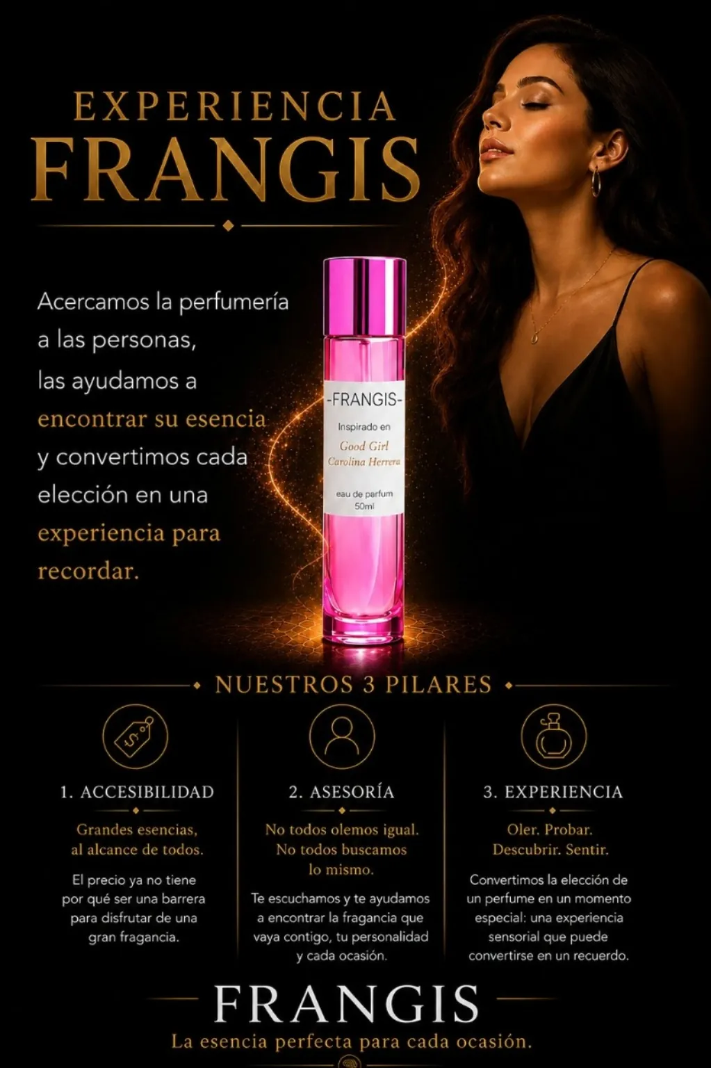Experiencia FRANGIS y sus tres pilares